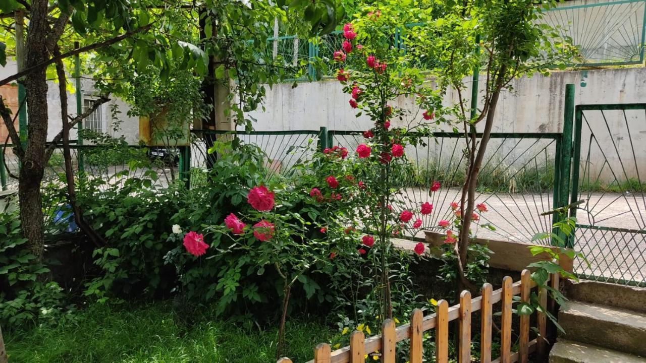 ホテル Borjomi Nest エクステリア 写真