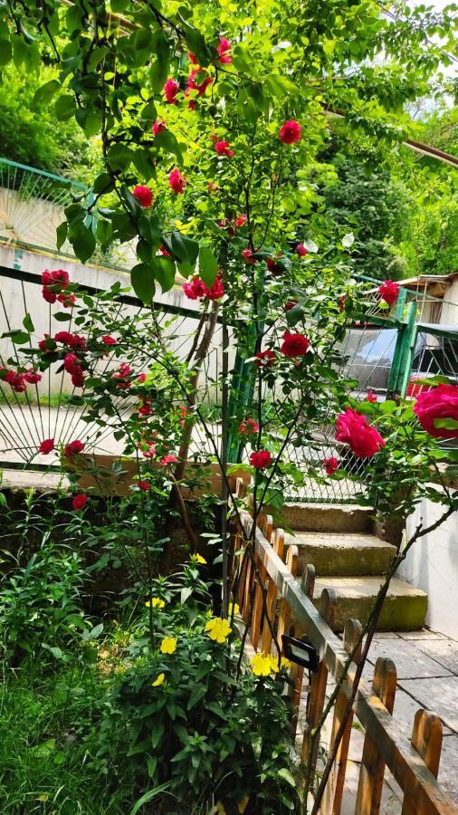 ホテル Borjomi Nest エクステリア 写真