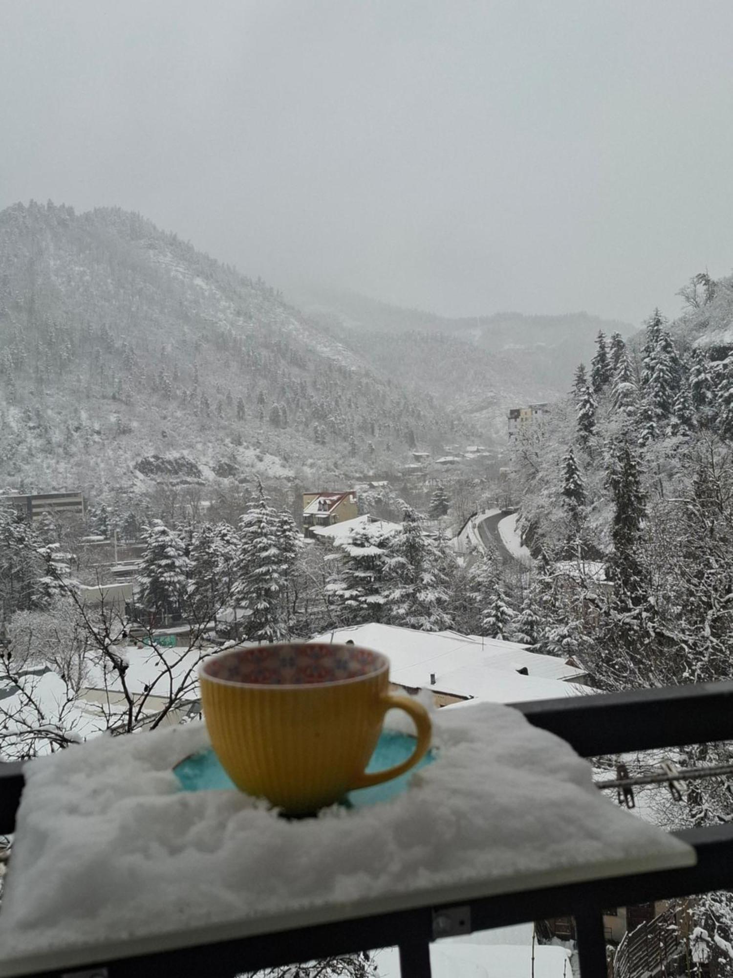 ホテル Borjomi Nest エクステリア 写真